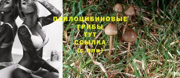 дурь Армянск