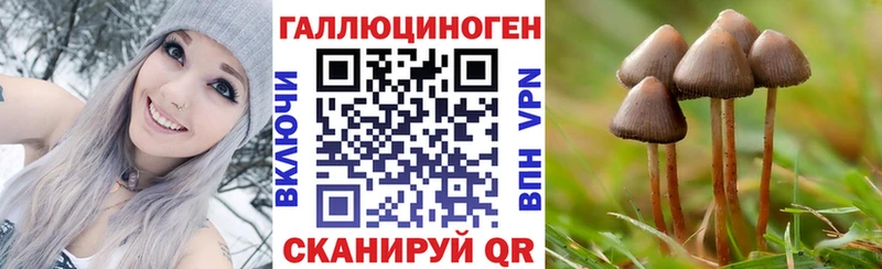 Псилоцибиновые грибы Psilocybine cubensis  как найти закладки  сайты даркнета формула  Новоалександровск 