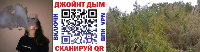 наркошоп  Новоалександровск  Шишки марихуана SATIVA & INDICA 
